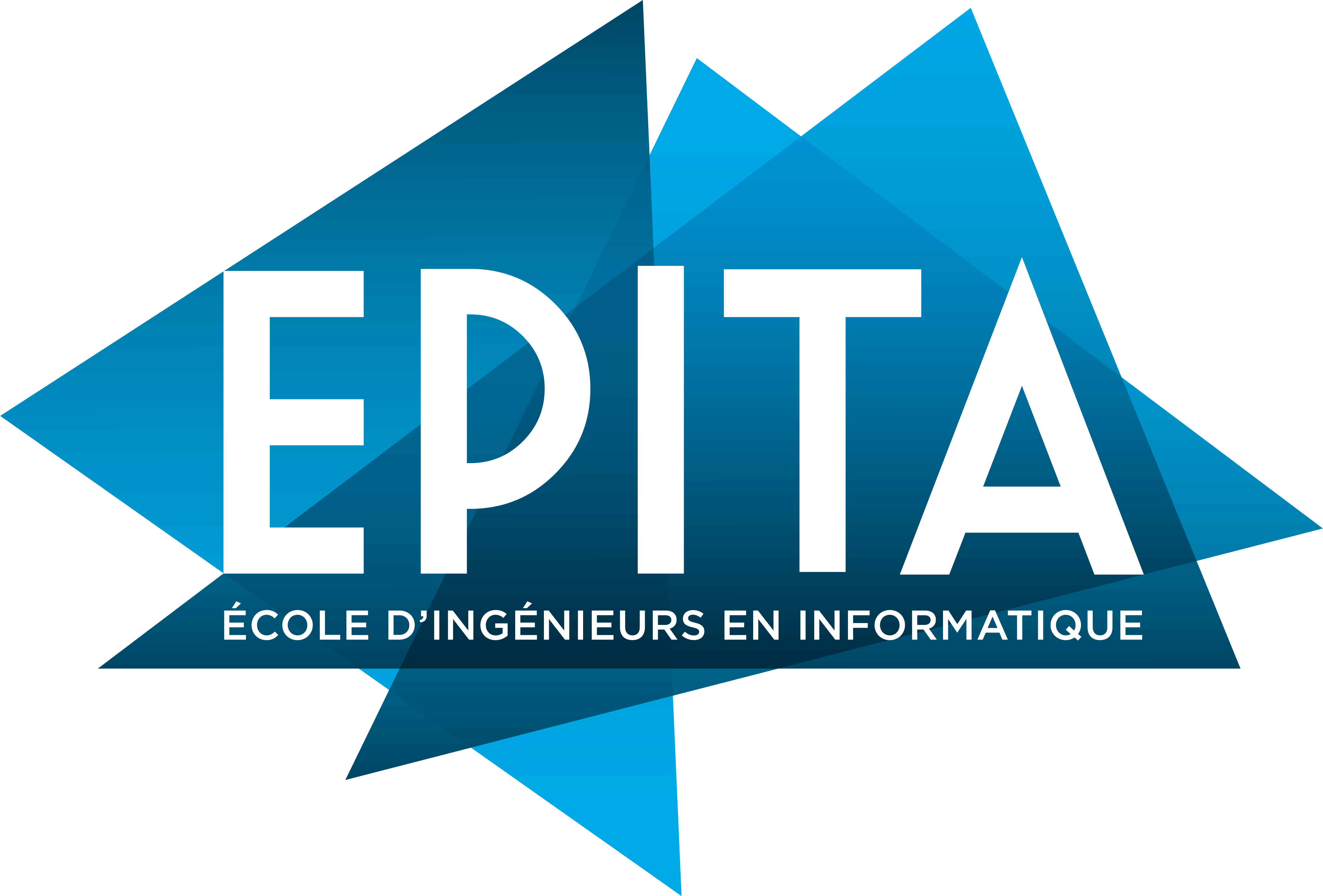 website logo